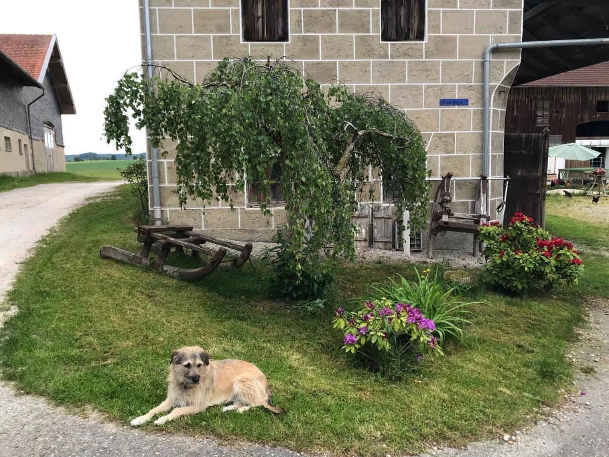 Pferdehof Dietzsch, Tittmoning Exteriér fotografie